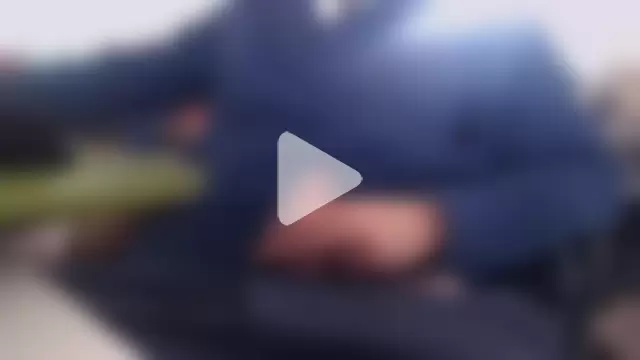 Prolapse_Pig photo 13