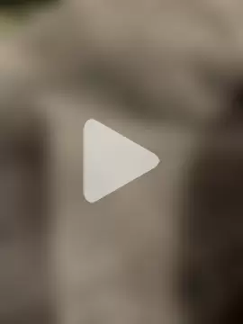 Prolapse_Pig photo 11