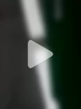 ProperCoach18 photo 14