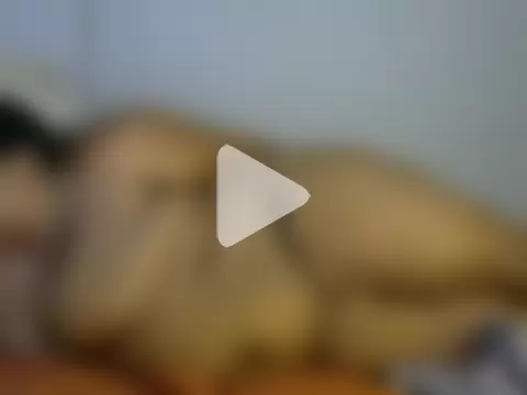 PrudyPressureBoss photo 4