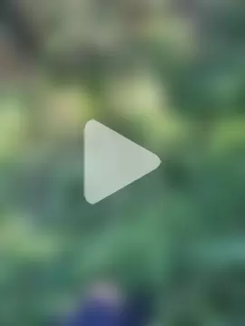 Przystojniak77 photo 5