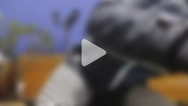 PublicMellyBigLabia photo 5