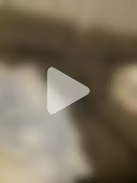 PuckBunny17 photo 28