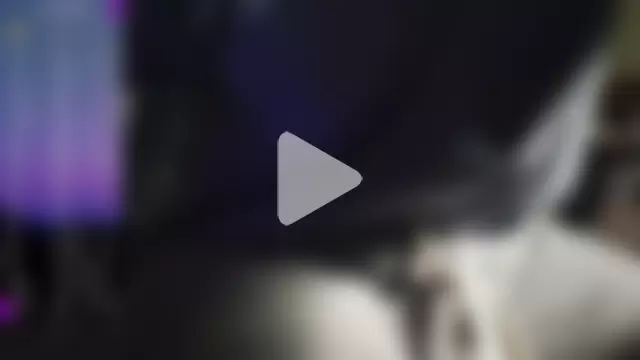 Purple_Flamingo photo 8