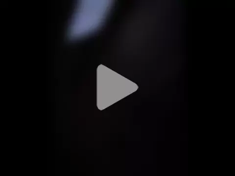 Pussyismyfavoritetaste photo 25