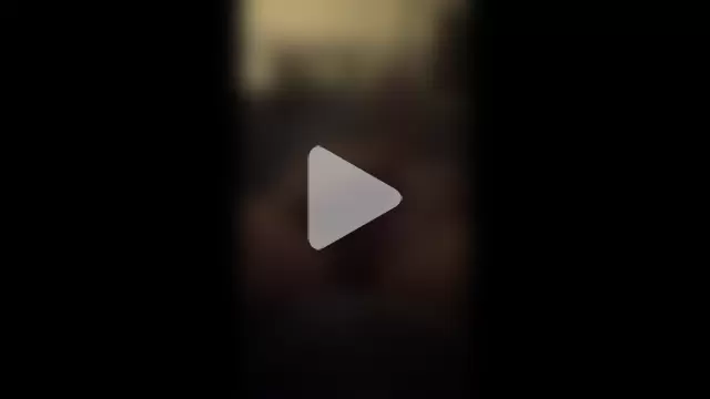 Pussyismyfavoritetaste photo 12