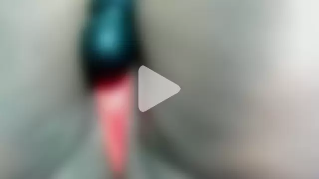 RACHELL__HOT photo 22