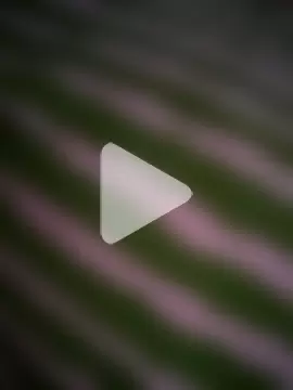 RADHIKA-1143 photo 12