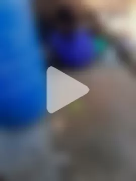 RAYI_Queen_3 photo 20