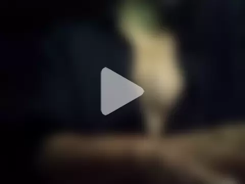 Raavan_King photo 20