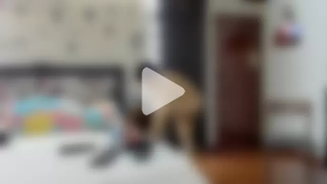 Rachell_111 photo 16