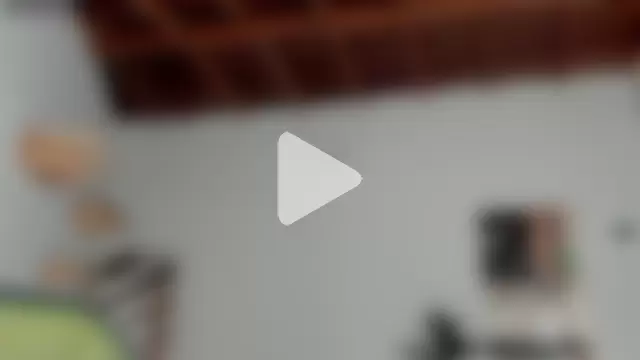 Rainbow_leia photo 15