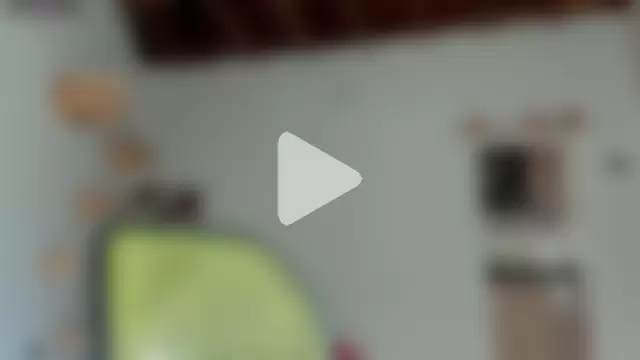 Rainbow_leia photo 7