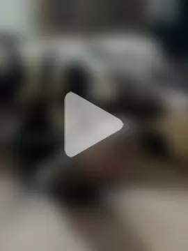 Rajasthan-24 photo 2