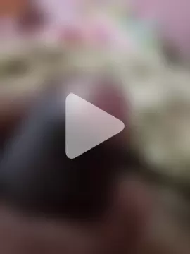 Rajopensex_955 photo 4