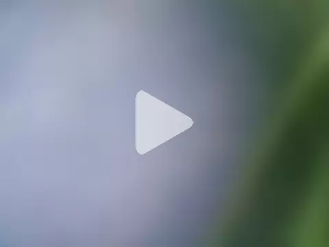 Ramzes1992Analog photo 1