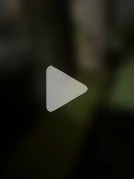 Reacher110565 photo 21