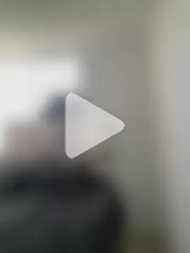 RedFox_Golden photo 3