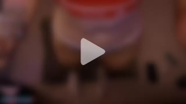 Redhead_Shark_new photo 3