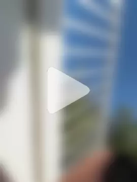 Reggie_roxie photo 3