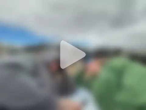 Reggie_roxie photo 11