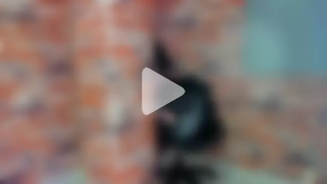 Reichell_Rose photo 4