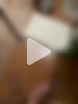 Renaultcarga photo 5