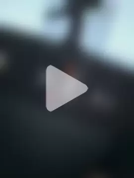 Rimvideo photo 8