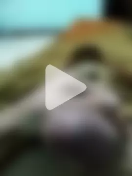 Roberto-2025- photo 3