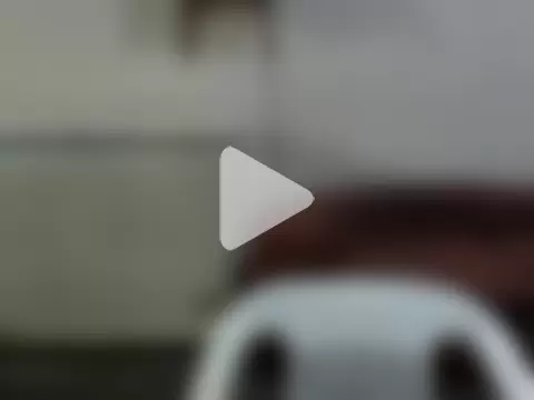 Rodrigo1411 photo 18