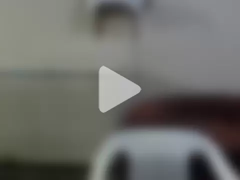 Rodrigo1411 photo 16