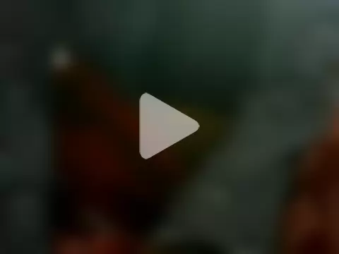 Romantic_Roma6 photo 8