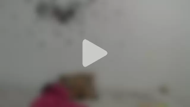 RoosePaarker photo 15