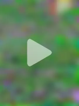 RoundGirl11 photo 21