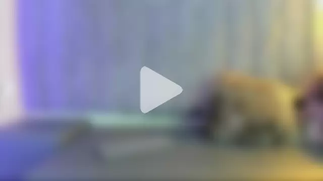 Rowan_Mills photo 25