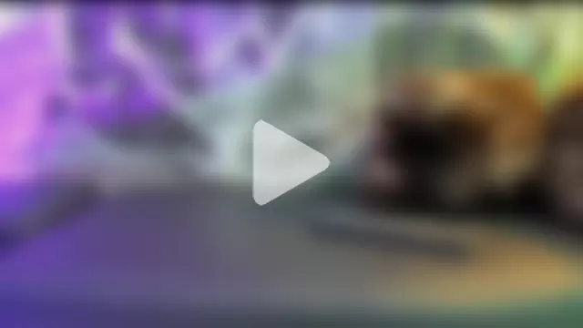 Rowan_Mills photo 13