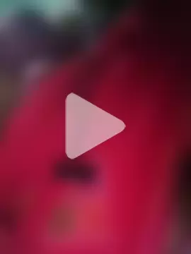 Royal_hotti0011 photo 19