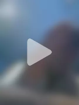 S7LEALTADPERVLIMA7 photo 27