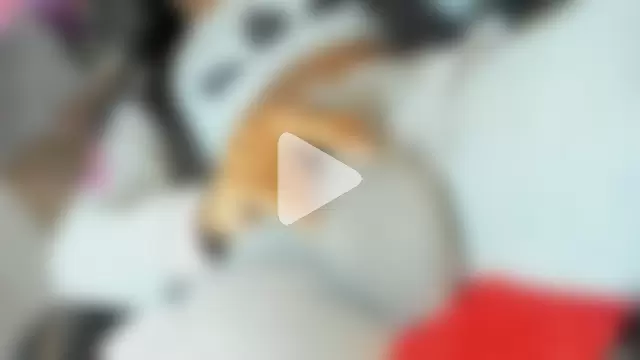 SARA_BEAUTYXX photo 19