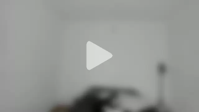 SARA_TS_FOX photo 10