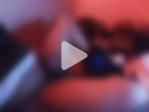 SAVAGELIFE31 photo 6