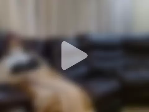 SERYPRECIOUS photo 26