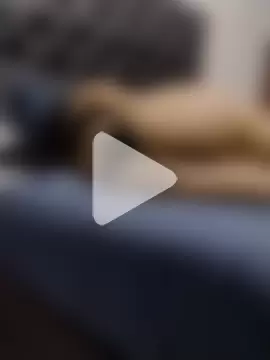 SHARLOT2427 photo 23