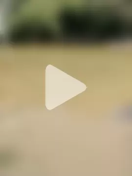 SHARLOT2427 photo 20