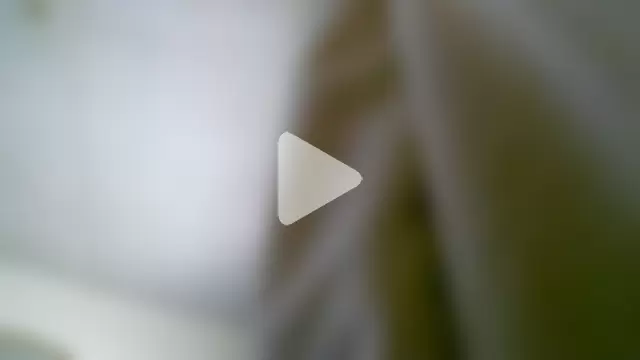 SHORTGUN_STALLION photo 18