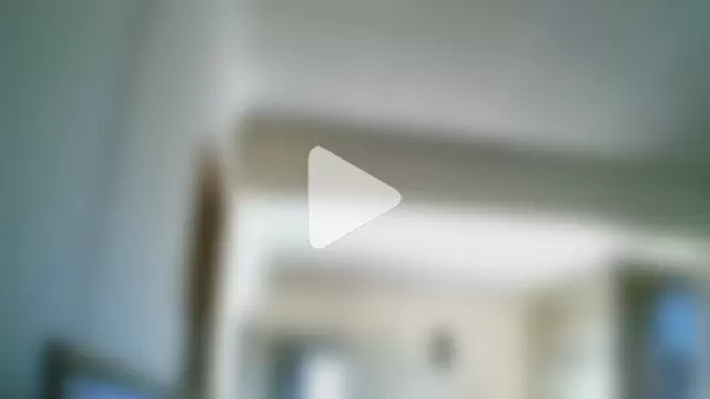 SHORTGUN_STALLION photo 15