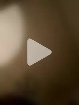 STRIPsegale photo 24