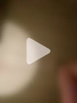 STRIPsegale photo 23