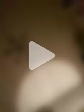 STRIPsegale photo 22