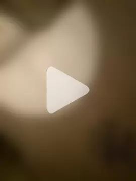 STRIPsegale photo 21